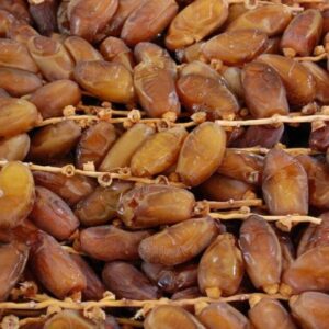 Kurma tunisia