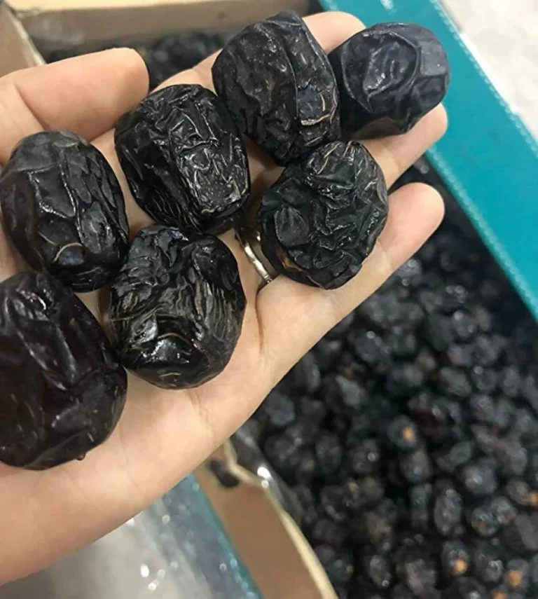 kurma online