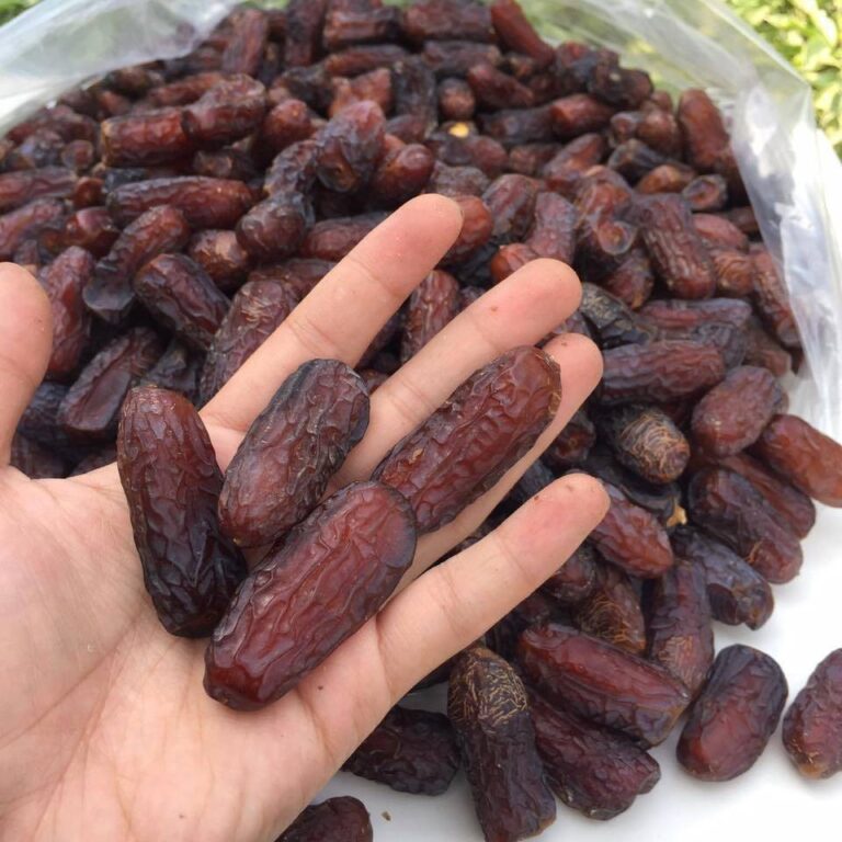 kedai kurma